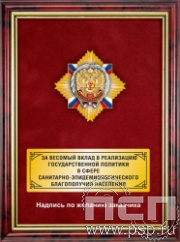5.7.22.52. Панно с нагрудным знаком "100 лет Роспотребнадзор" на бархате в рамке