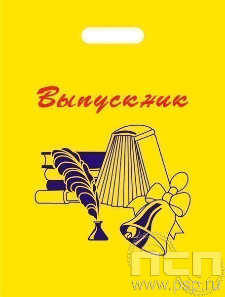 8.4.1. Пакет с надпечаткой школьной символики