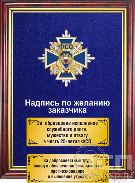5.7.01.230. Панно с нагрудным знаком "25 лет ФСО" на бархате