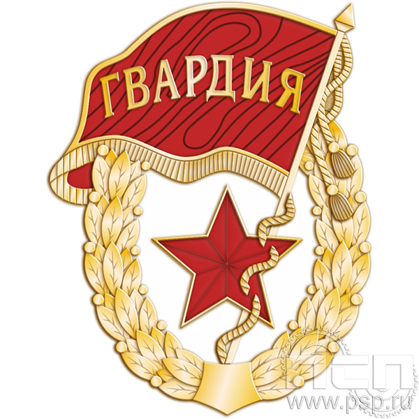 2039.0 Нагрудный знак "Советская гвардия"