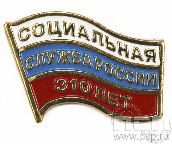 Значок Социальная служба России 310 лет 6.049.0к