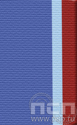 ЛЕНТА ОРДЕНСКАЯ (24 мм) 25.043