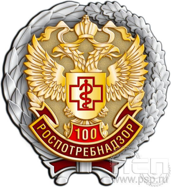 306.11. Нагрудный знак "100 лет Роспотребнадзор"