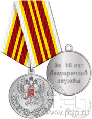 Медаль ФНС-2 «За 10 лет безупречной службы» 