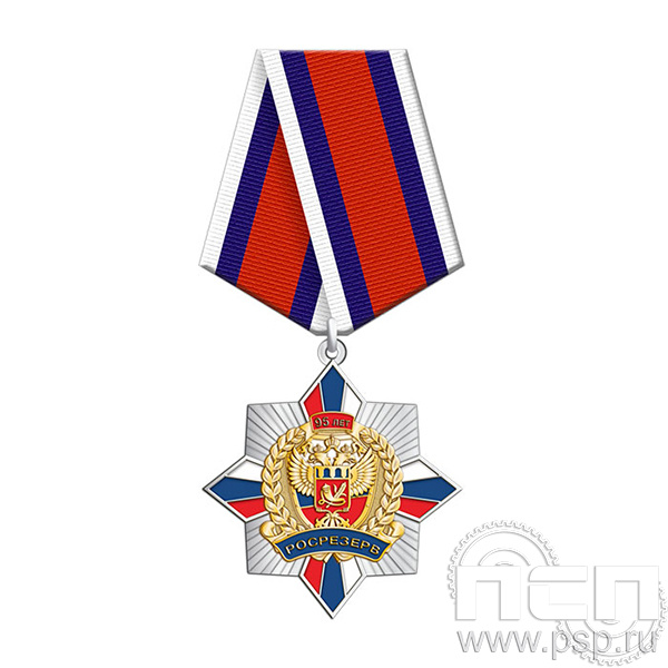 5.2К(b) Нагрудный знак Росрезерв 95 лет