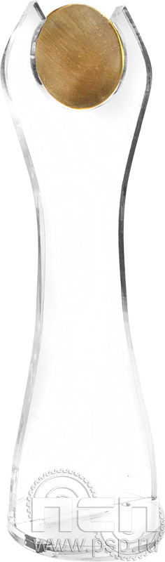 Награда акриловая с медалью Д-50 255х80х80 19.5.2.3