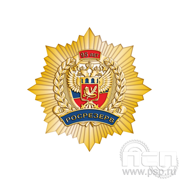 5.2(а) Нагрудный знак Росрезерв 95 лет