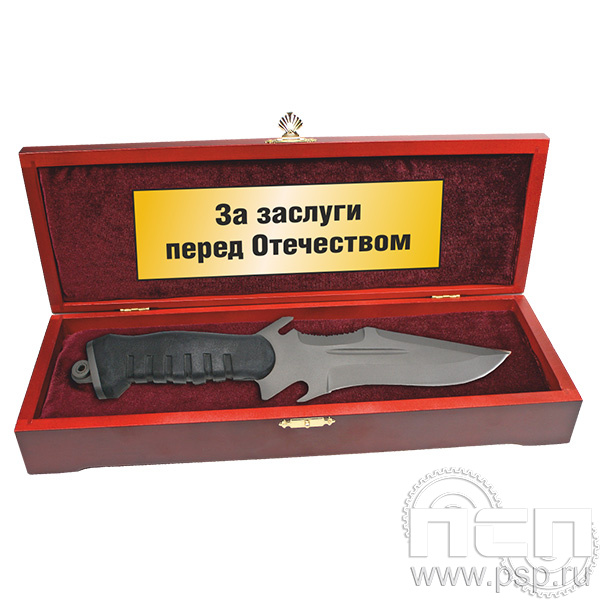 3.9.3 Шкатулка под нож (с дарственной надписью) "Специальная военная операция"