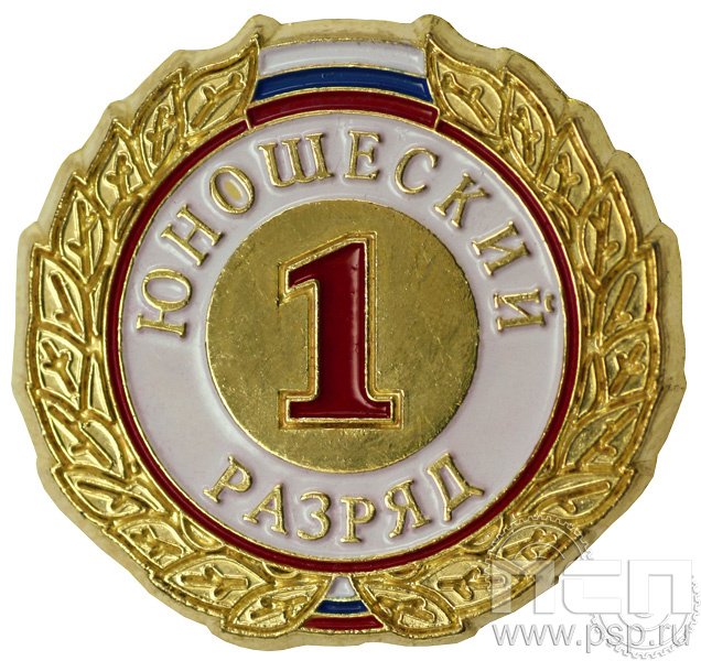 Значок I разряд юношеский ZRJ-I