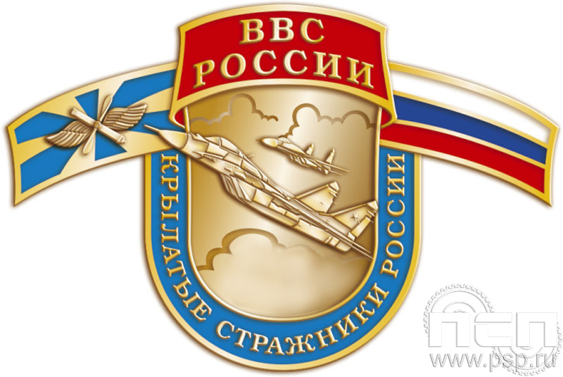 Значок "ВВС России Крылатые стражники России" 335.0к