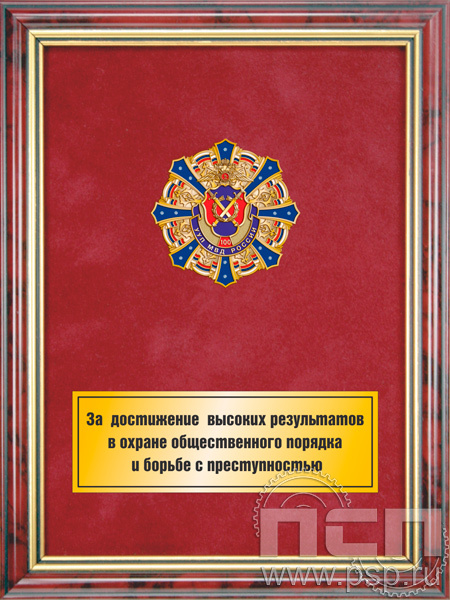 5.7.258.9. Панно с нагрудным знаком "100 лет УУП МВД России" на бархате в рамке