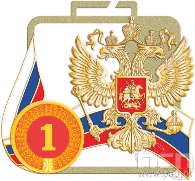 картинка МП-70х60-25-G Спортивная медаль "ВДВ 95 лет"