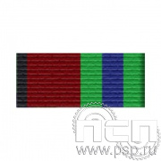 6.6.1. Планка орденская к медали "100 лет Ведомственная охрана ЖДТ"