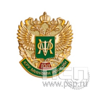 958.0. Значок "100 лет КРУ Минфин России"