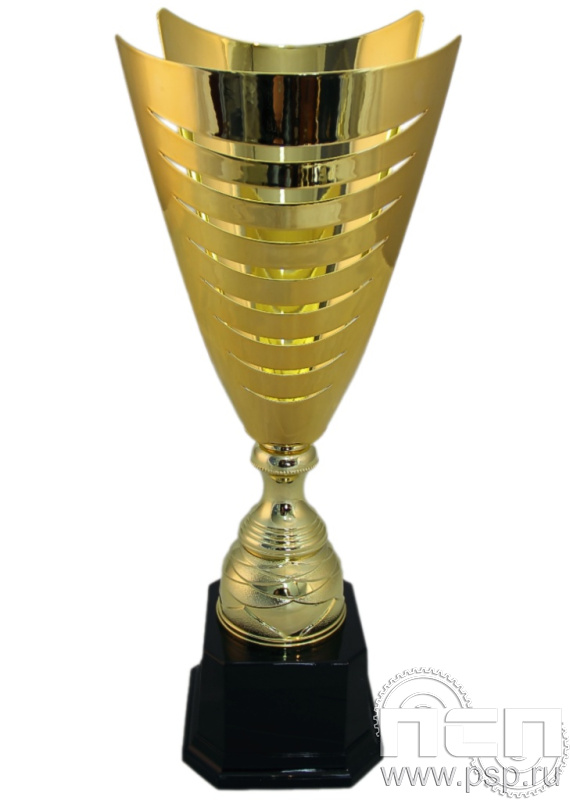 Кубок 2014D (41см)