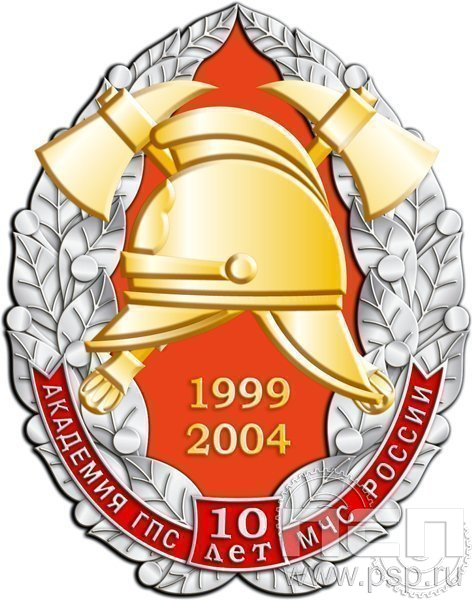 101.13. Нагрудный знак 10 лет Академия ГПС МЧС России