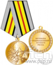 245.0.1(c). Медаль "Ветераны подразделений особого риска"