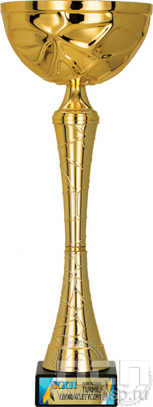 Кубок 9251F (29см) D-100