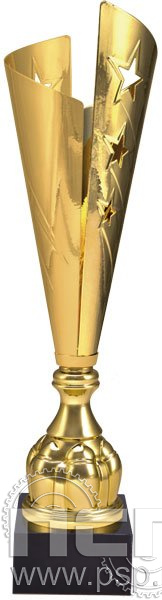 3104B. Наградной кубок