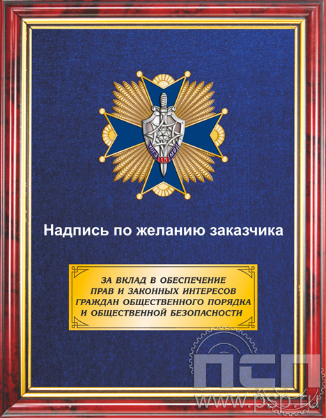 5.7.64.63. Панно с нагрудным знаком "15 лет Управление по обеспечению безопасности лиц, подлежащих государственной защите" на бархате в рамке