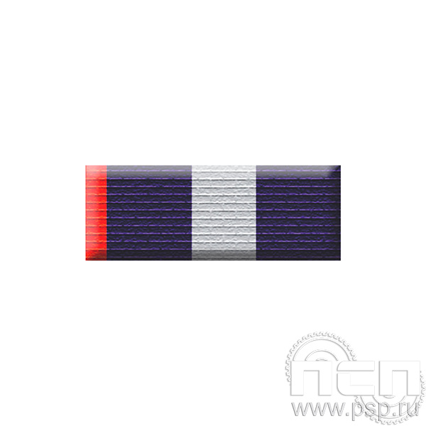 6.6.1. Планка орденская к медали "105 лет Служба тыла МВД РФ"