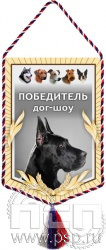 12.1.2. Вымпел тканевый "Победитель шоу"
