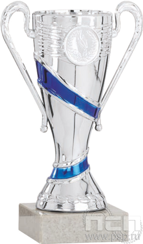 Кубок 9019A (17см)