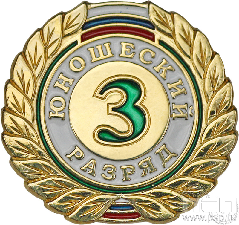 Значок 3 разряд юношеский СРиЗ9