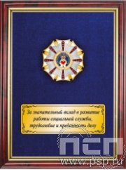 5.7.43.18. Панно с нагрудным знаком "320 лет Социальная служба России" на бархате