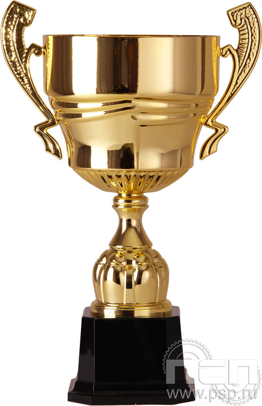 Кубок 2006F (37 см) D-160