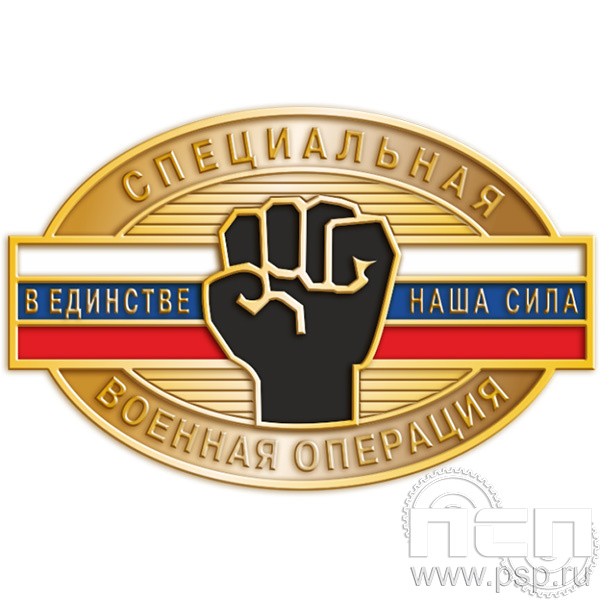 Картинка 321.0  нагрудный знак "Специальная военная операция"