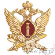 654.0 Значок «ФСИН РФ»