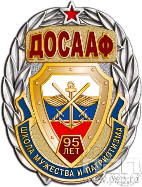 41.2. Нагрудный знак "95 лет ДОСААФ России"
