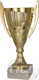 Кубок 8300C (25.5 см) D-100