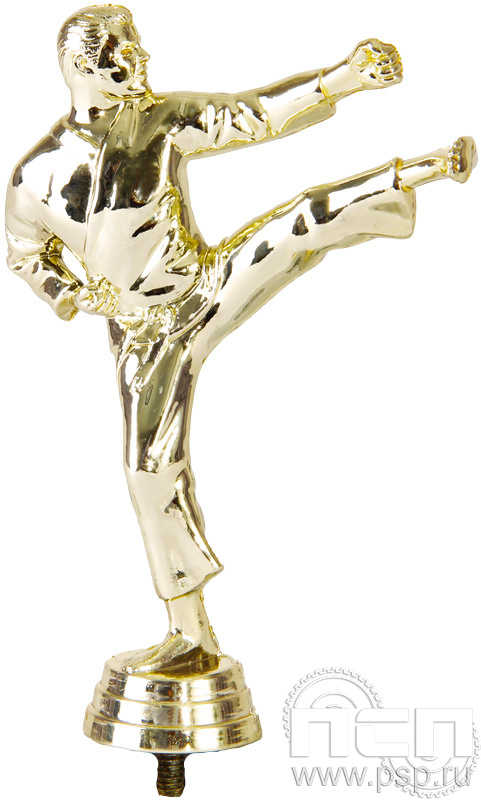 Фигурка пластиковая Каратэ 8060-1 15,2см