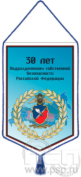 картинка 12.1.2 Вымпел тканевый "ПСБ МВД России 30 лет"