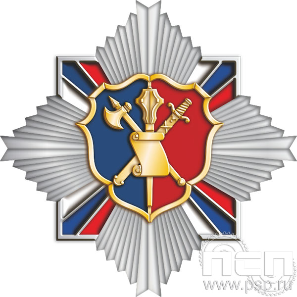 296.5. Нагрудный знак "105 лет Штабные подразделения МВД"