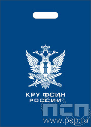8.4.4. Пакет "КРУ ФСИН России"