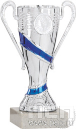 Кубок 9019A (17см)