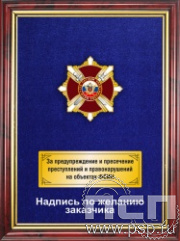 5.7.105.156. Панно с нагрудным знаком "За ратный труд ФСИН России" на бархате в рамке