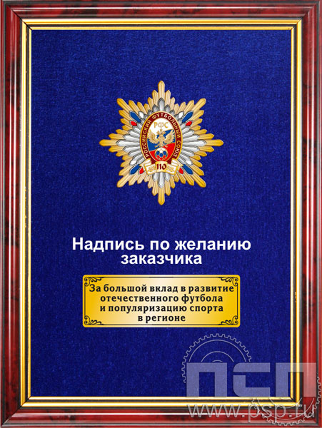 5.7.60.68. Панно с нагрудным знаком "110 лет Российский футбольный союз" на бархате в рамке