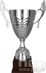 Кубок 3122A (52 см) D-200