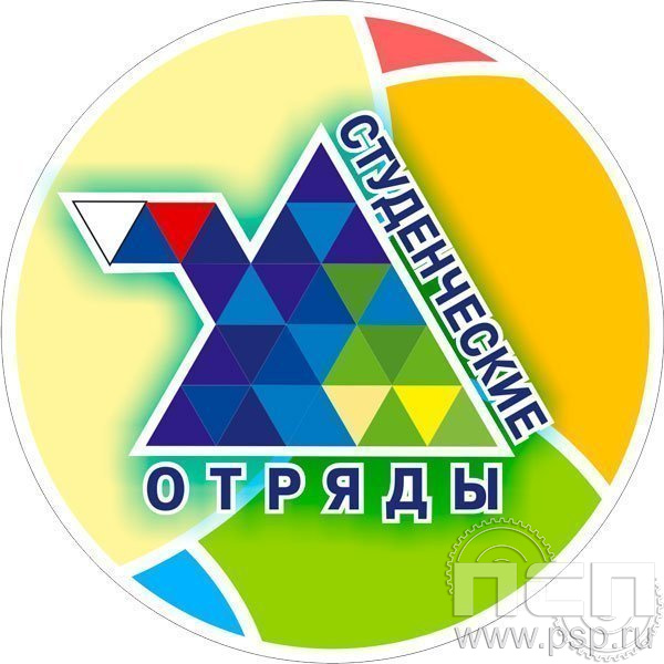 6.4.2. Экспресс-значок "Студенческие отряды"