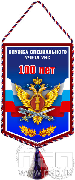 Вымпел «100 лет Служба специального учета УИС»