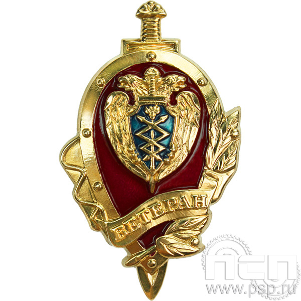 Нагрудный знак Ветеран Правительственной связи  ФСО7
