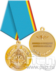 245.0.1(I). Медаль "110 лет Инженерно-авиационная и Штурманская службы ВВС"