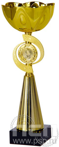 Кубок 9613A (31.5 см) D-120