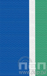 ЛЕНТА ОРДЕНСКАЯ (24 мм) С-15378/ 25.053