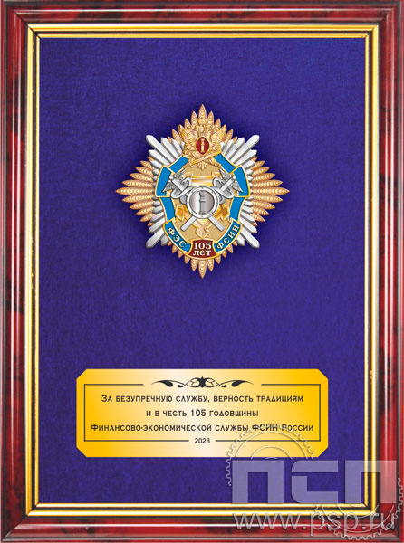 5.7.64.61. Панно с нагрудным знаком "105 лет ФЭС ФСИН" на бархате в рамке