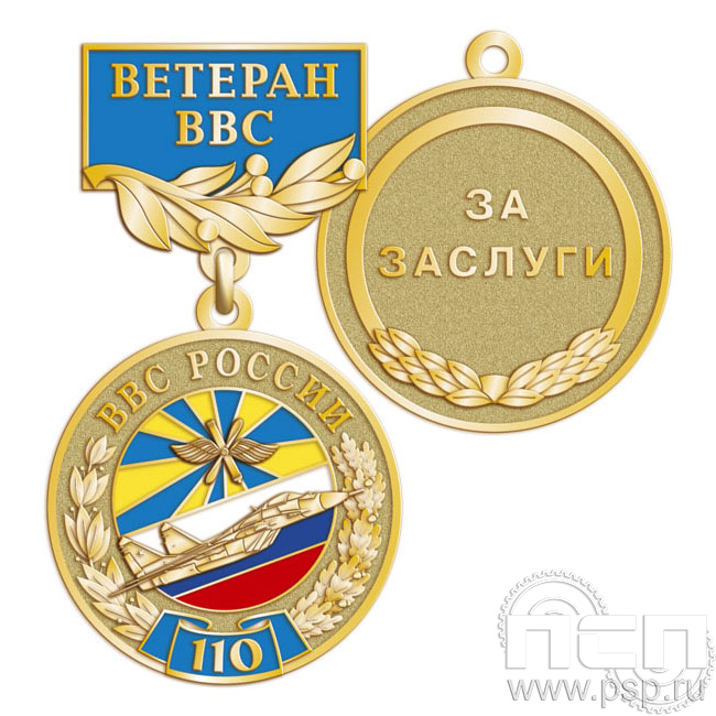 245.0.56. Медаль Ветеран "110 лет ВВС России"